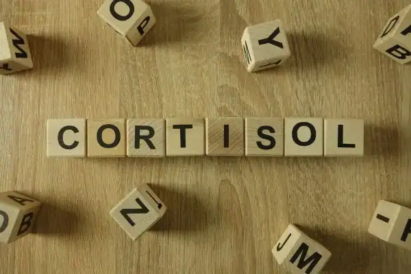 The Hidden Connection: How Stress Shapes Your Fitness and Body Composition 2 Image saying "Cortisol" and how stress Brackley impacts your wellbeing and bodies shape